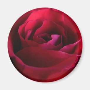 Imã Rosa vermelha Magnets Rosa Rosa Dons Keepsaem Deco