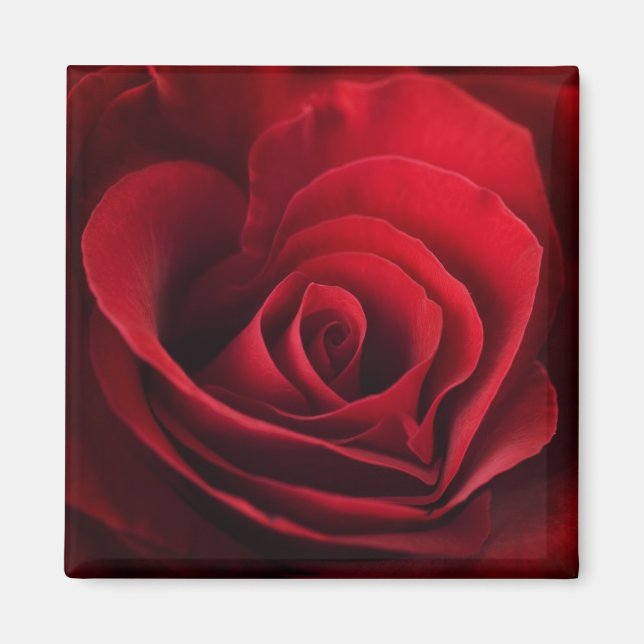Imã Rosa vermelha namorados (Frente)
