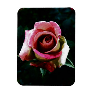 Ímã Rosa vermelha pintada a óleo