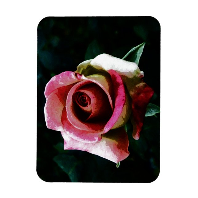 Ímã Rosa vermelha pintada a óleo (Vertical)