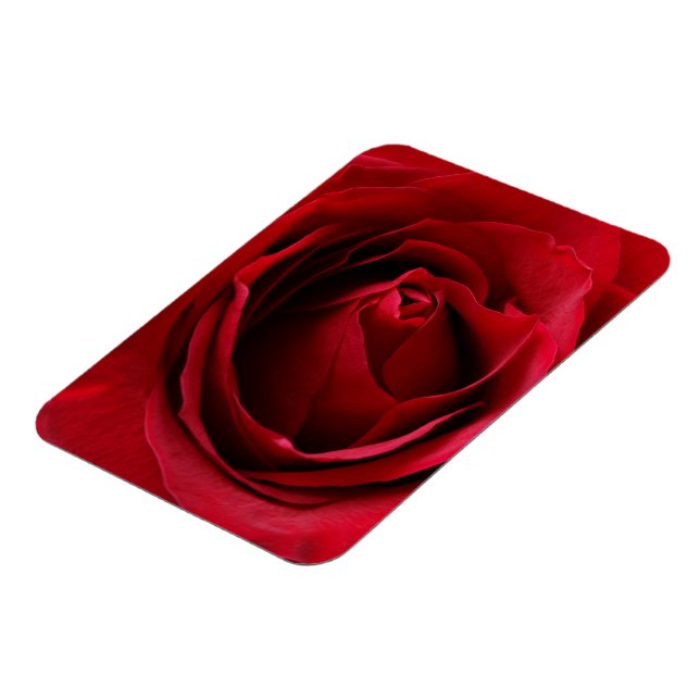 Ímã rosa vermelha profunda (Left Side)