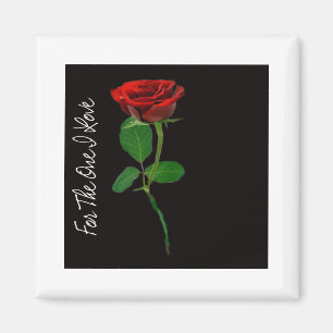 Imã Rosa vermelha solteiro - àquela que eu amo