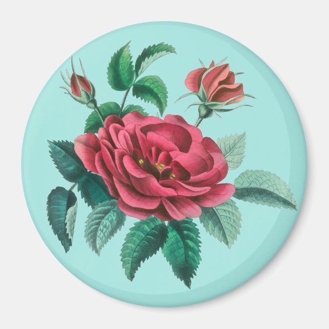 Imã Rosa vermelha Vintage (Frente)