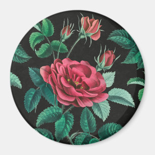 Imã Rosa vermelha Vintage