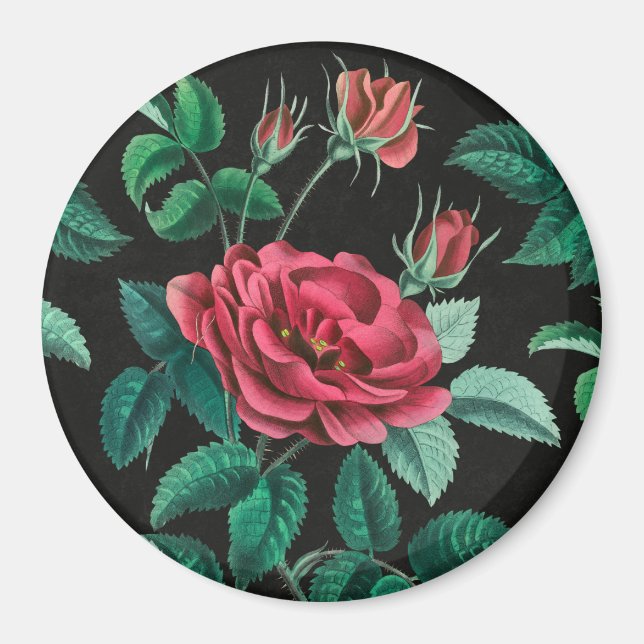 Imã Rosa vermelha Vintage (Frente)