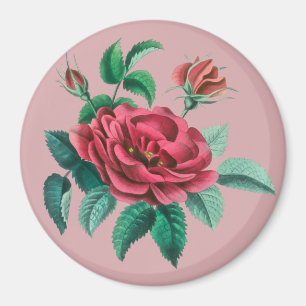 Imã Rosa vermelha Vintage