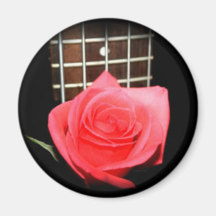 Imã Rosa vermelho do rosa contra o conselho da fricç