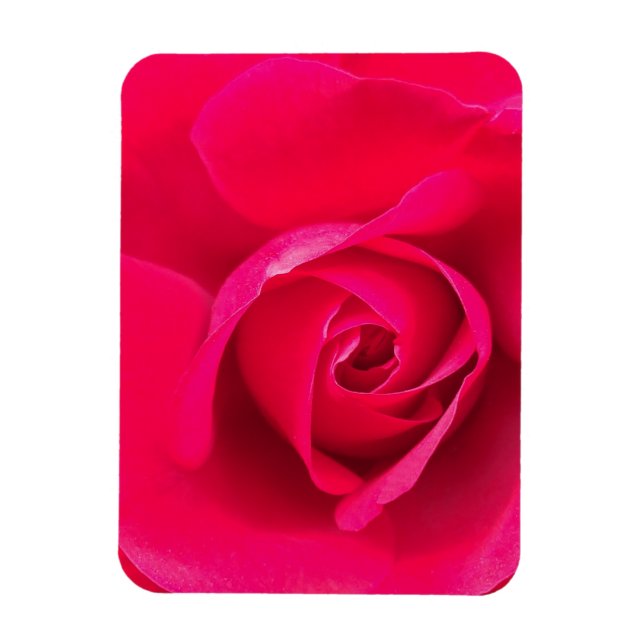 Ímã Rosa Vermelho Romântico Rosa v2 (Vertical)