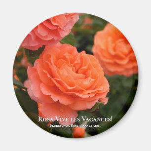 Imã Rosa Vive les Vacances!