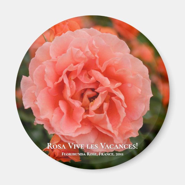 Imã Rosa Vive les Vacances! マ グ ネ ト (Frente)