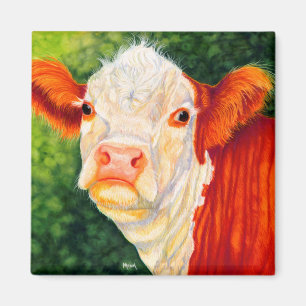 Imã Rosado o ímã feliz da vaca de Hereford da bezerr
