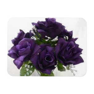 ÍMÃ ROSAS