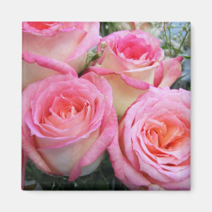 Imã Rosas