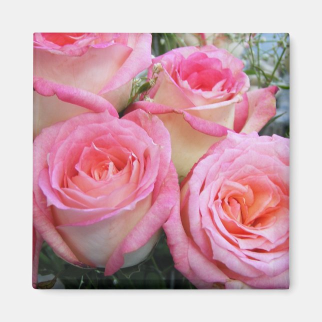 Imã Rosas (Frente)