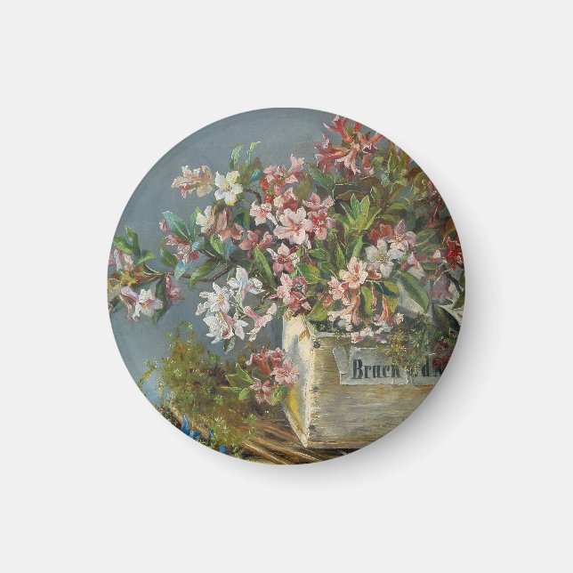 Imã Rosas alpinos em uma janela - Andreas Lach (Frente)