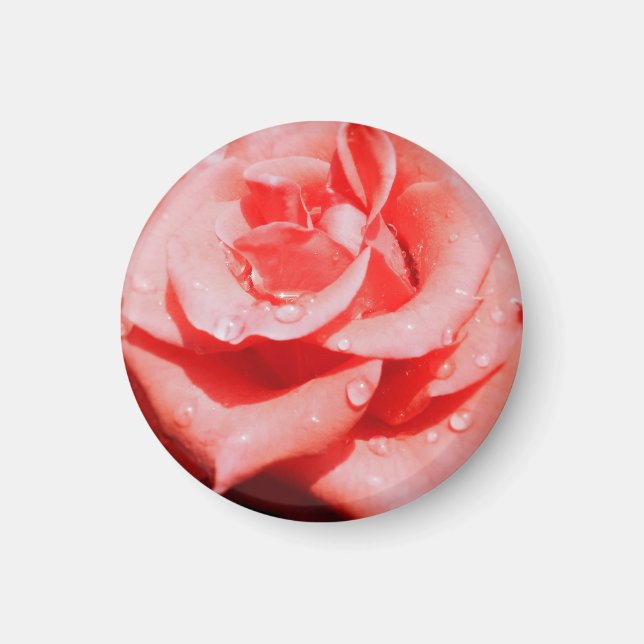 Imã Rosas Antigas (Frente)