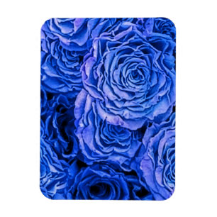 Ímã Rosas azuis