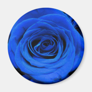Imã Rosas azuis