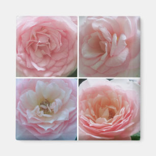 Imã Rosas Bonitas