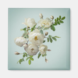 Imã Rosas brancas sobre ímã verde-sonâmbulo