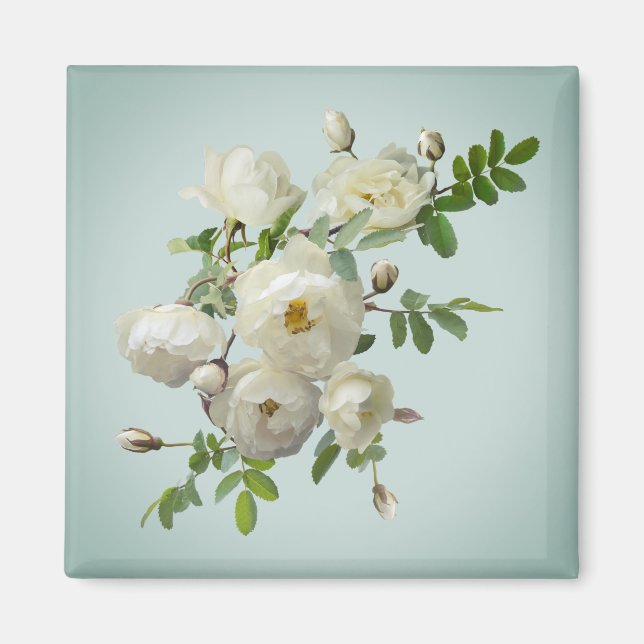 Imã Rosas brancas sobre ímã verde-sonâmbulo (Frente)