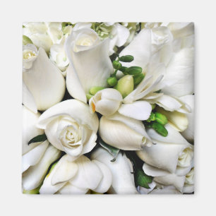 Imã Rosas brancos, para algum occasion_