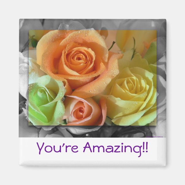 Imã Rosas Coloridos-Magnetos (Frente)