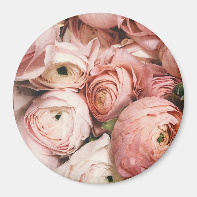 Imã Rosas cor-de-rosa (Frente)
