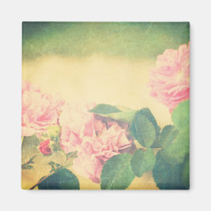 Imã Rosas cor-de-rosa de escalada