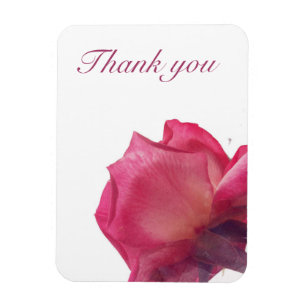 Ímã Rosas cor-de-rosa. ilustração floral