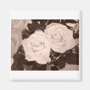 Imã Rosas de casamento