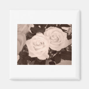 Imã Rosas de casamento