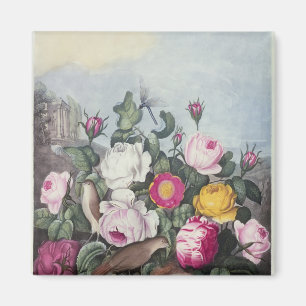 Imã Rosas, 'do templo de Flora