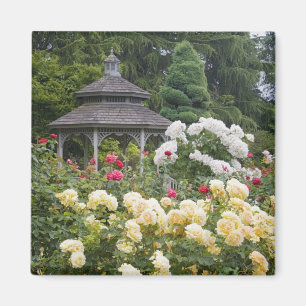 Imã Rosas em flor e Rose Garden Gazebo no