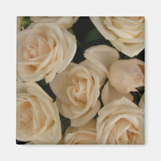 Imã Rosas no cartucho