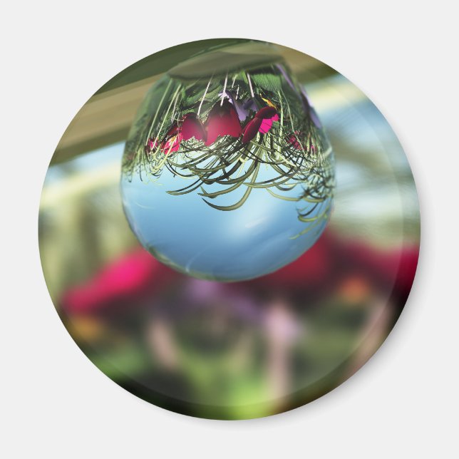 Imã Rosas no Raindrops Magnet (Frente)