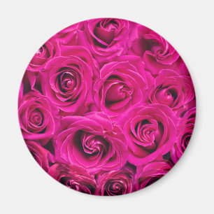 Imã Rosas Rosa