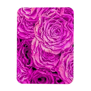 Ímã Rosas Rosa Brilhantes