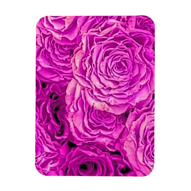 Ímã Rosas Rosa Brilhantes (Vertical)