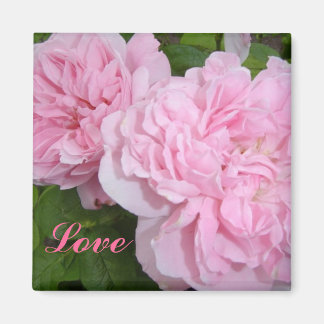 Imã Rosas Rosas