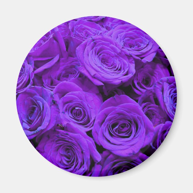 Imã rosas roxas violetas românticas, buquê de rosa bon (Frente)