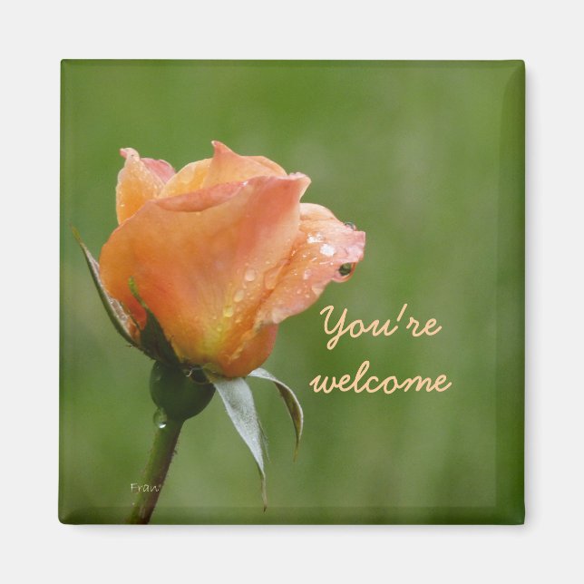 Imã rosas são laranja (Frente)