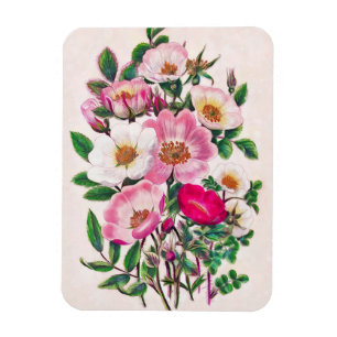 Ímã Rosas selvagens