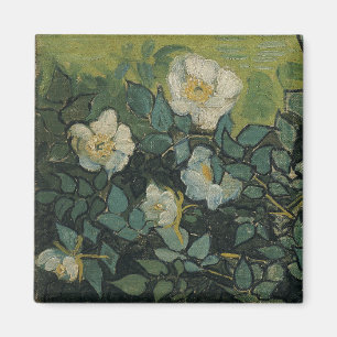 Imã Rosas Silvestres por Vincent van Gogh