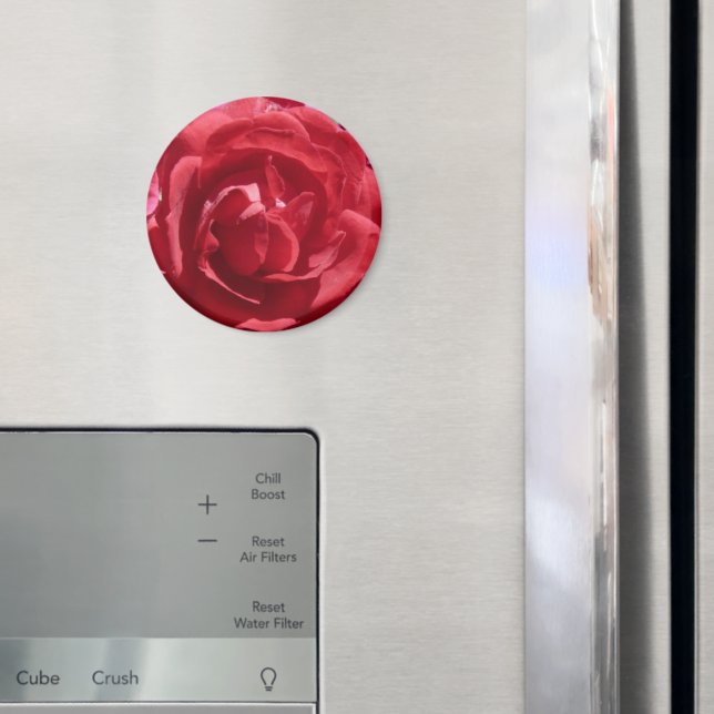 Imã Rosas vermelhas (In Situ (Fridge))