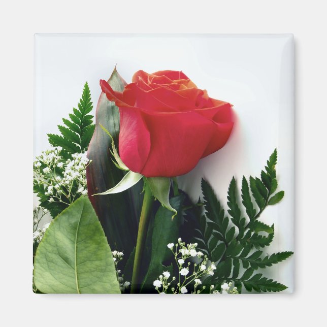Imã Rosas vermelhas (Frente)