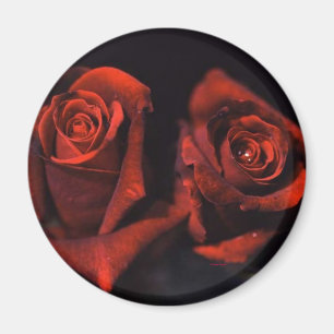 Imã Rosas vermelhas