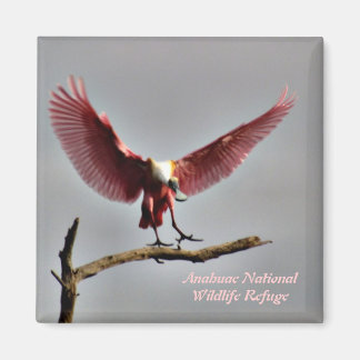 Imã Roseate Spoonbill Magnet
