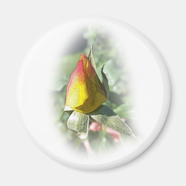 Imã rosebusto rosa amarelo (Frente)