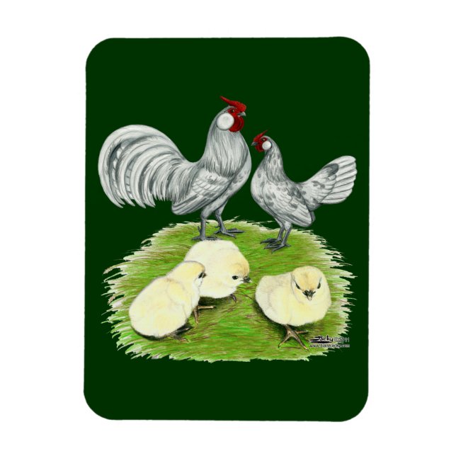 Ímã Rosecomb Bantams e pintinhos (Vertical)
